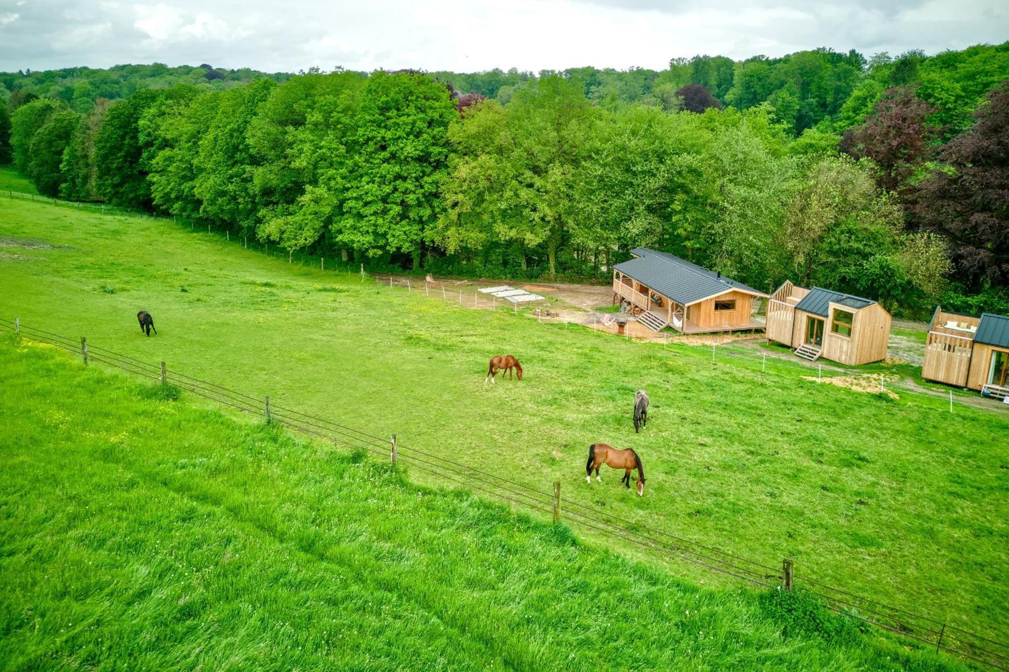 Les Cabanes Champetres - Le Domaine Des Trois Tilleuls Villers-la-Ville Exteriör bild